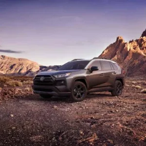 2020 Toyota RAV4 Repair and Workshop Manuals