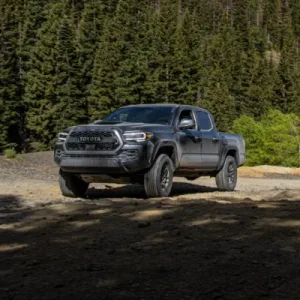 2020 Toyota Tacoma Repair and Workshop Manuals