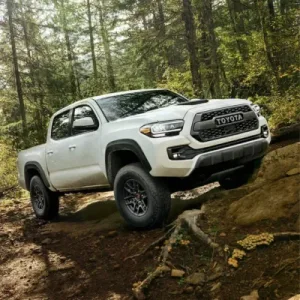 2022 Toyota Tacoma Repair and Workshop Manuals