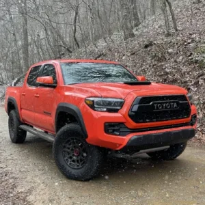 2023 Toyota Tacoma Repair and Workshop Manuals